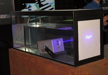 HB_IMG_9852.jpg