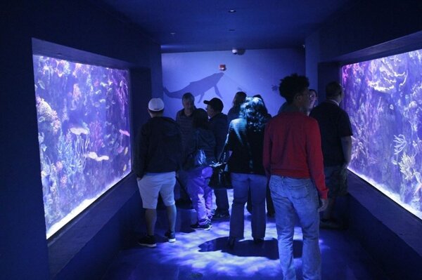 Shreveport-aquarium2.jpg