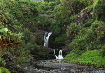 More-Than-Just-Parks-1.jpg