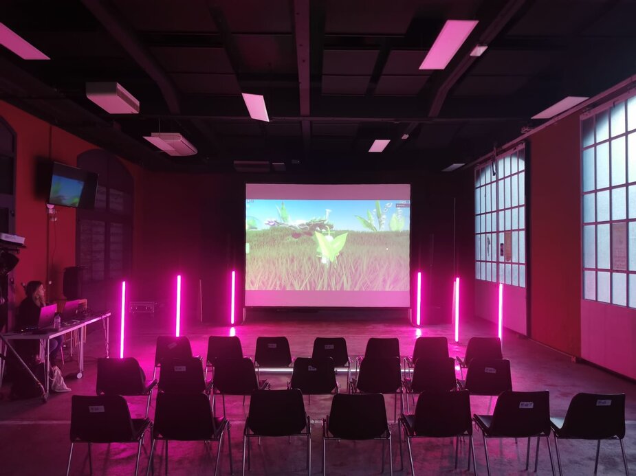 proiezione videoart.jpg