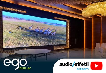 AE-20260218-EGO Display EasyFLEX.jpg