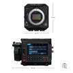 Blackmagic Design Blackmagic PYXIS 12K EF CINECAMCPYXN12LFEF - 5