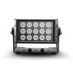 DVT LIGHT PJ-2.5 RGBW POI Black 50201001 - 3