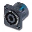 Audiophony NL-2MP H4861