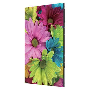EGO Display EasyPRO-P4 EASYPRO-P4