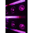 SGM GENIO BlinderDot 80300520 - 10