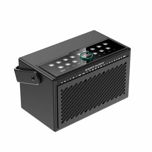 SWIFF AUDIO S100 S100